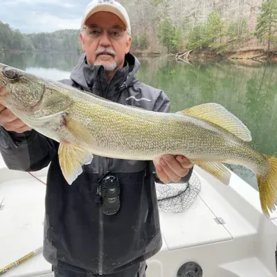 Capt Ron