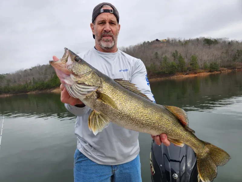 Carters lake report for March 4th 