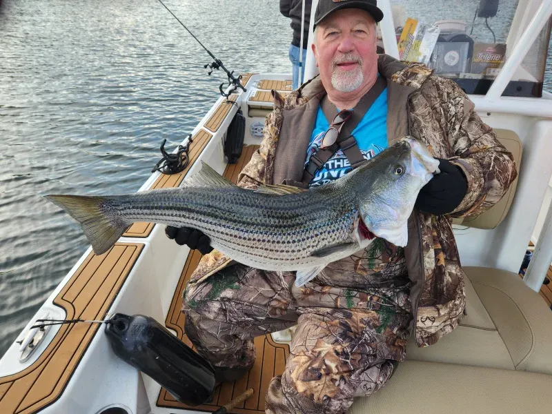 Lake Allatoona March fishing report