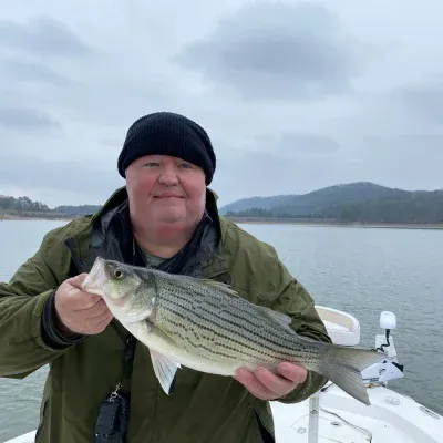 Capt Jim