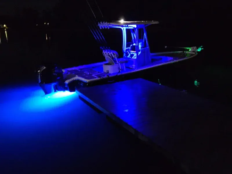 Winter Stripers Are Stacking Up
