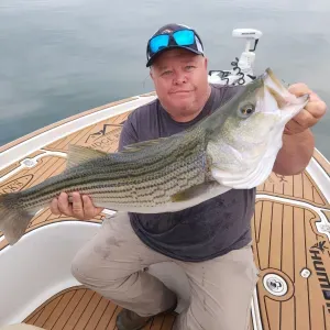 Morning Catch