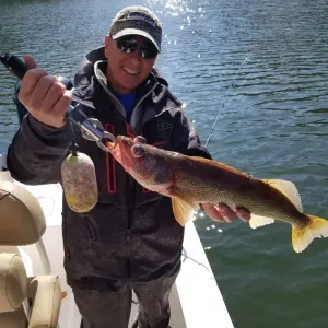 Walleye Surprise
