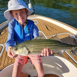 Lake Allatoona Beauty