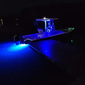 Night Fishing Setup