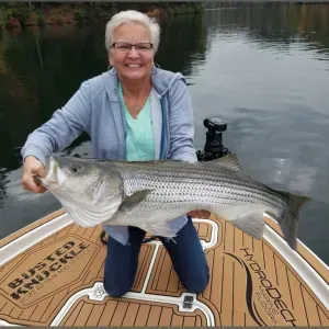Trophy Fish