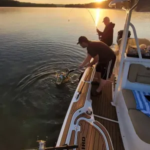 Sunrise Fun !