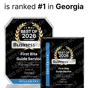 Best of 2026