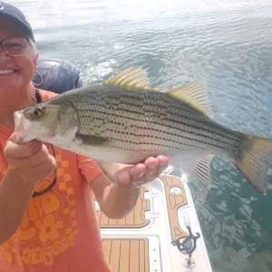Catch and Release