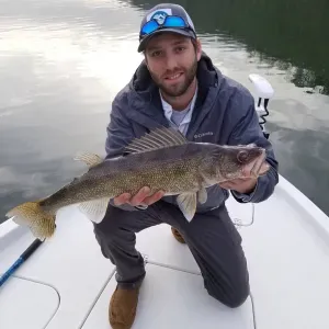Quality Catch