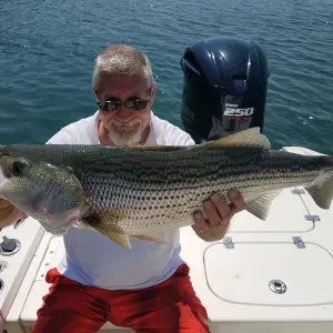 Monster Striper