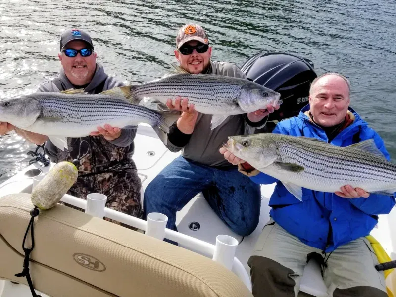 Lake Allatoona February fishing report 